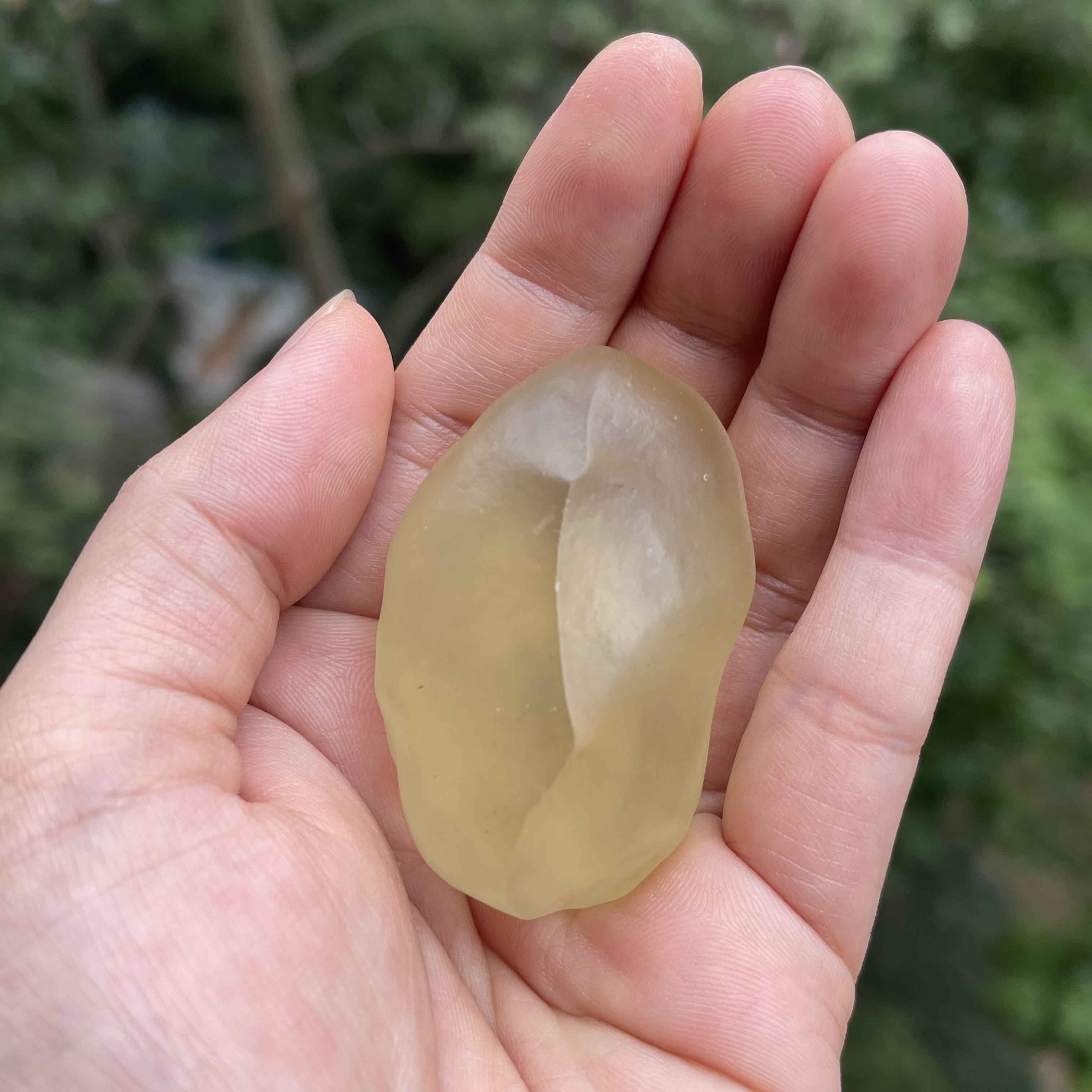 黄金玻璃陨石